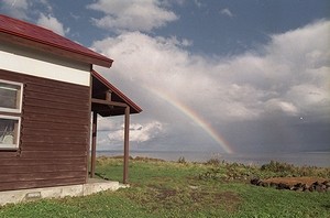 礼文島