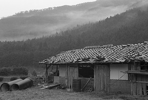 田舎の風景