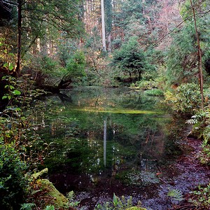 石川県の公園