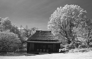 日本民家集落博物館