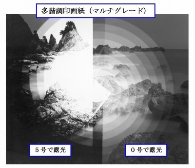 多諧調印画紙